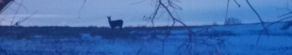 This Peculiar Prairie profile