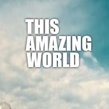 This Amazing World