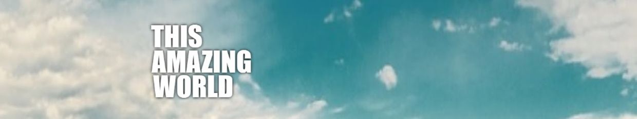 This Amazing World profile