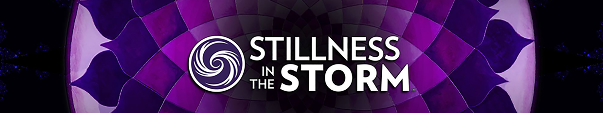 Stillness in the Storm profile