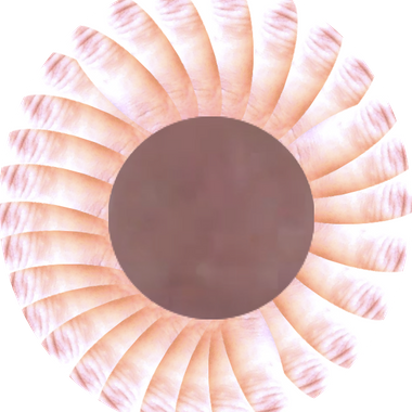 SiccDicc