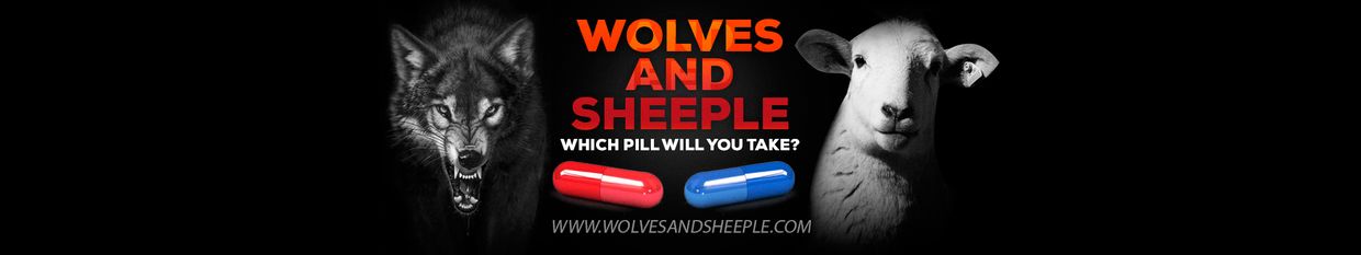 Wolves And Sheeple Podcast profile