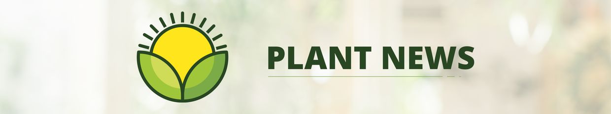 Plant News profile