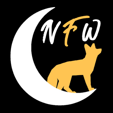 Night Fox Works