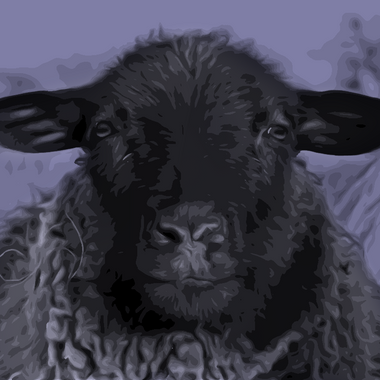 DARKSHEEP46