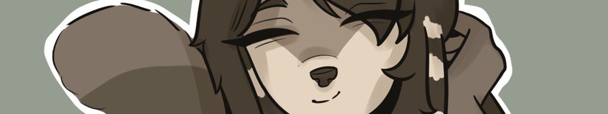 RaccoonTyphoon profile