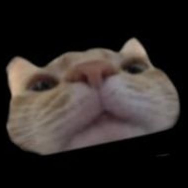 BCSADER
