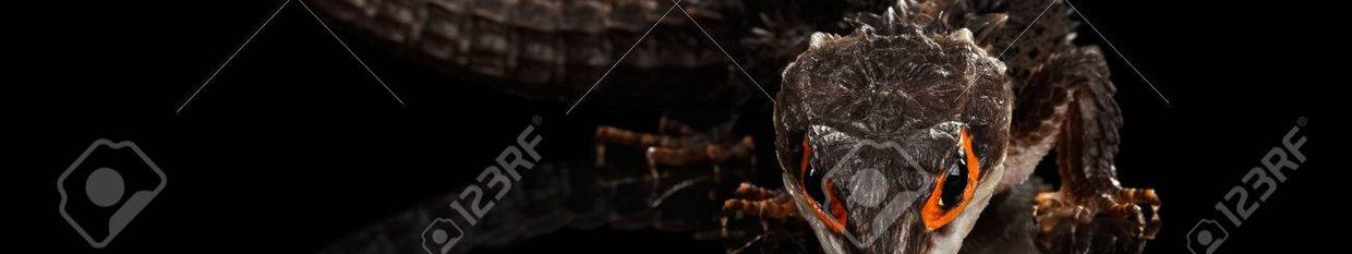 SkeletonCorps TM profile