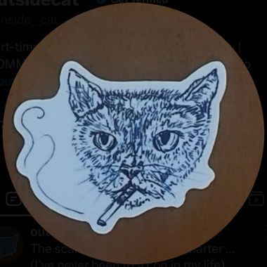 Outside Cat