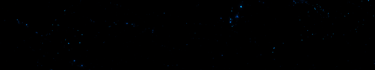 TranSentience Subscribestar profile