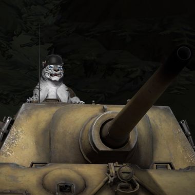 Redtiger466
