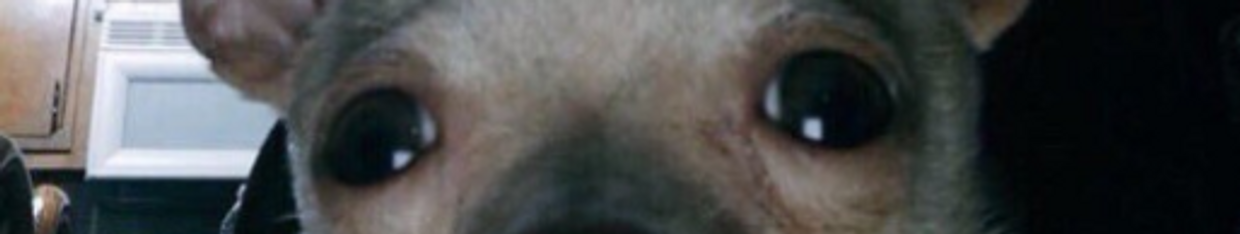TeaPose profile