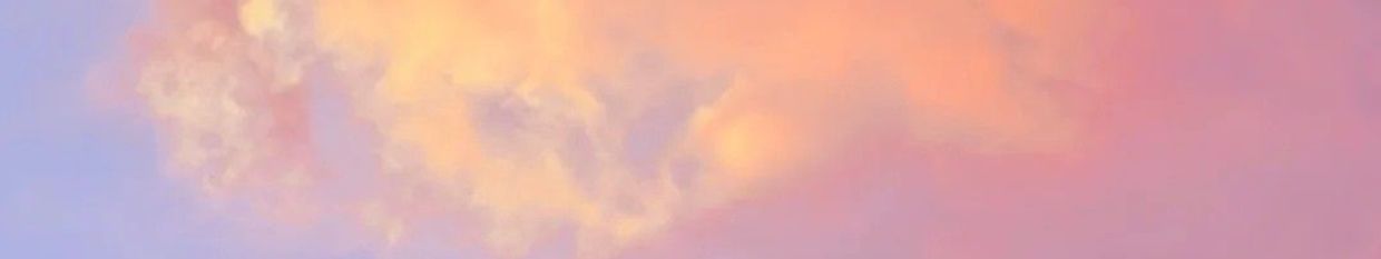 〃 𝐀𝐑𝐈𝐈 profile