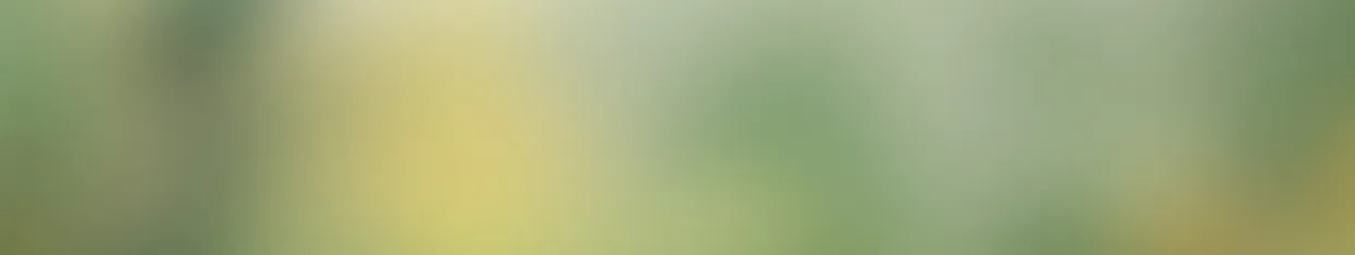 SaltyPickles profile