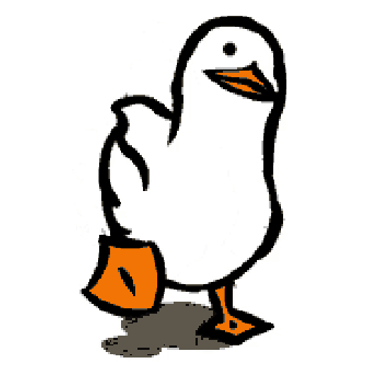 Ducki