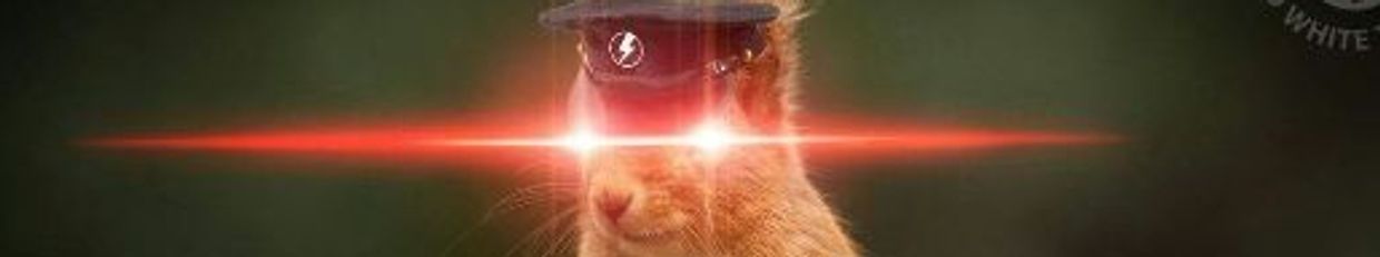 Scottish Tam profile