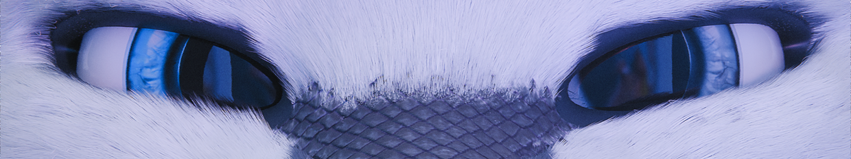 Yani Renders profile