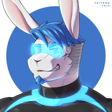 TAITANG TAI3