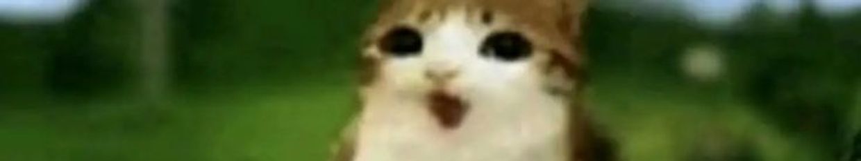 talentedhackr profile