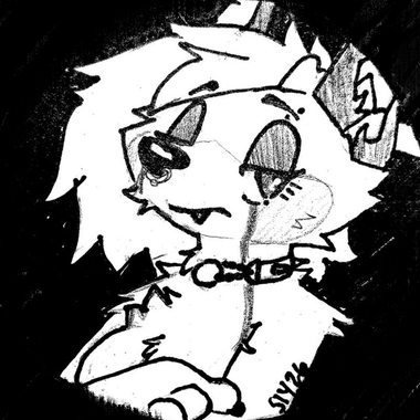 🌒🌕 𝕊𝕃𝕐 🌕🌘