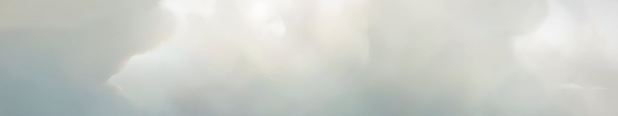 L.S profile