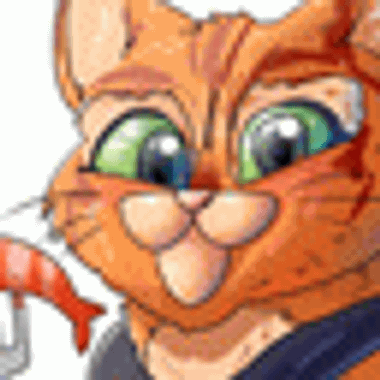 popccoon02