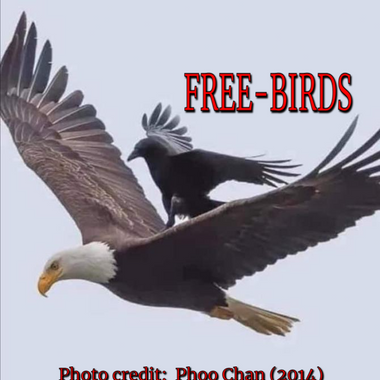 FREE-BIRDS